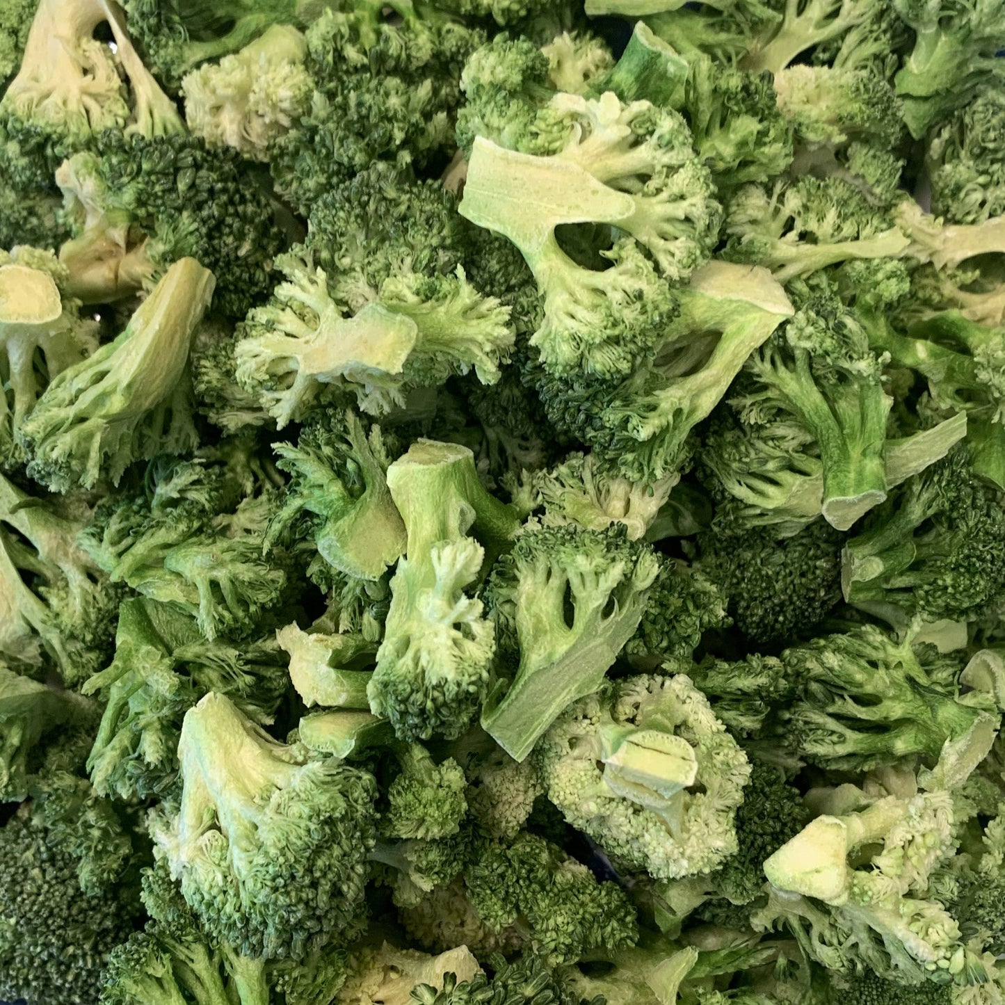Freeze-Dried Broccoli