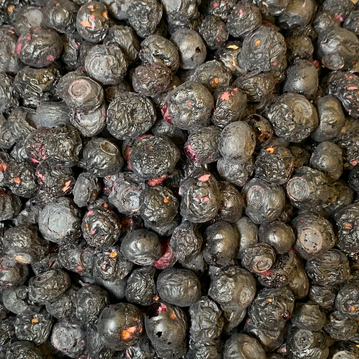 Freeze-Dried Blueberries